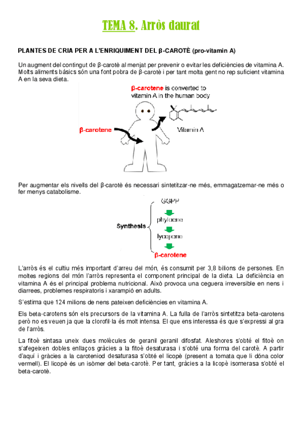 Miniatura del documento TEMA-8.pdf