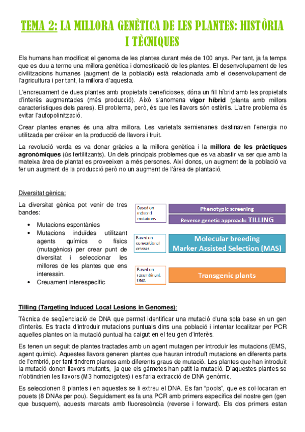 Miniatura del documento TEMA-2.pdf