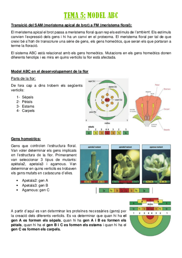 Miniatura del documento TEMA-5.pdf