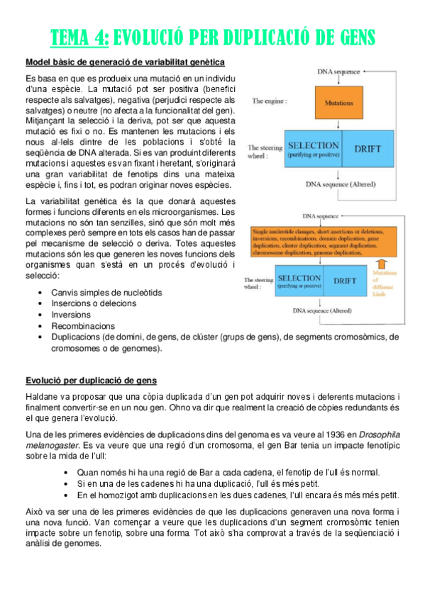 Miniatura del documento TEMA-4.pdf