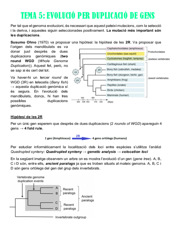 Miniatura del documento TEMA-5-.pdf