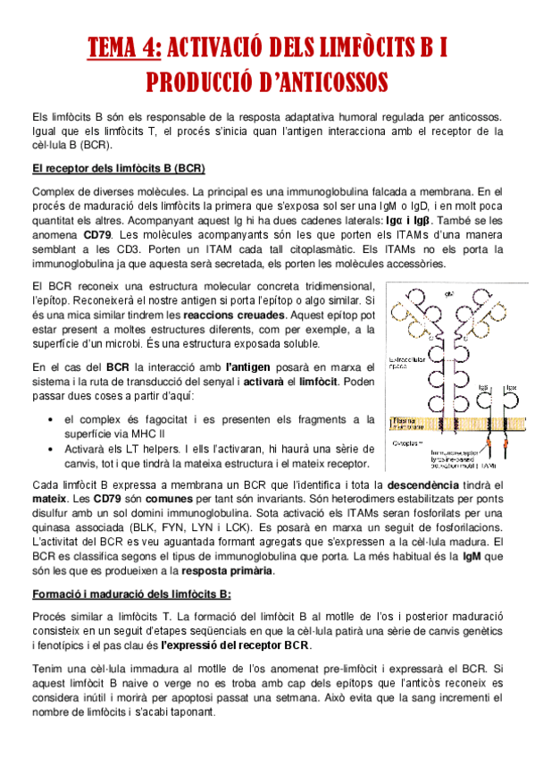 Miniatura del documento TEMA-4.pdf