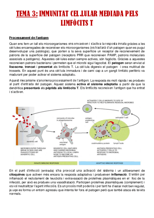 Miniatura del documento TEMA-3.pdf
