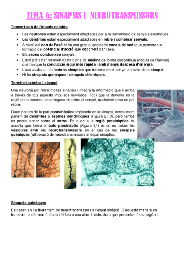 Miniatura del documento TEMA-6.pdf