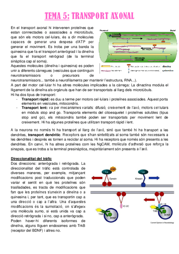 Miniatura del documento TEMA-5.pdf