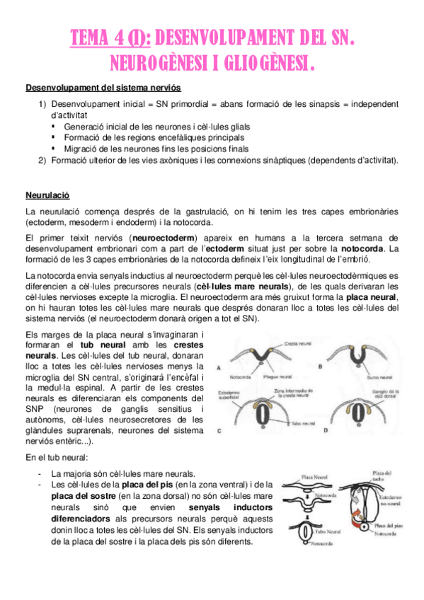 Miniatura del documento TEMA-4-I.pdf