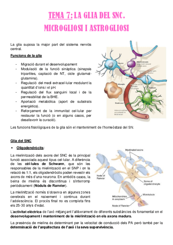 Miniatura del documento Tema-7.pdf
