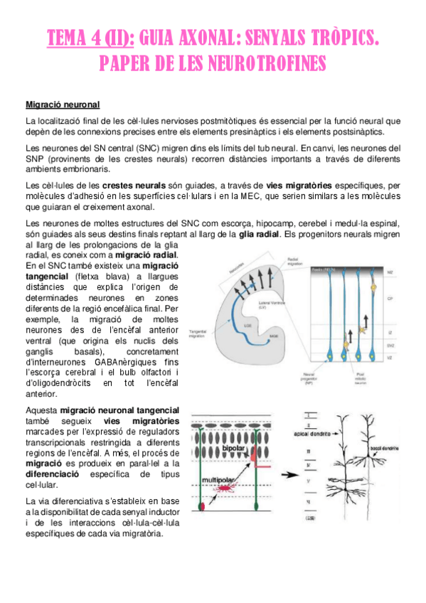 Miniatura del documento Tema-4-II.pdf