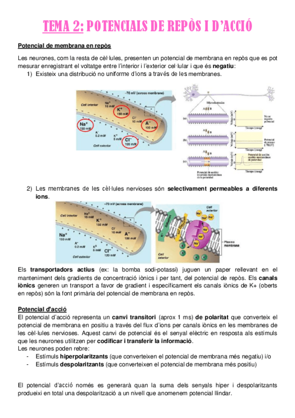 Miniatura del documento TEMA-2.pdf