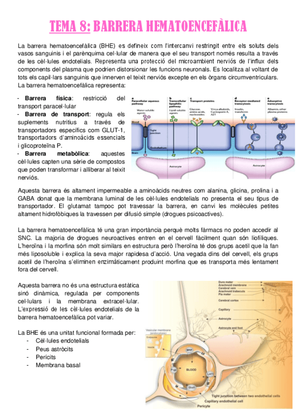Miniatura del documento TEMA-8.pdf