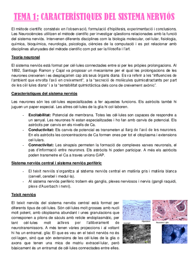 Miniatura del documento TEMA-1.pdf