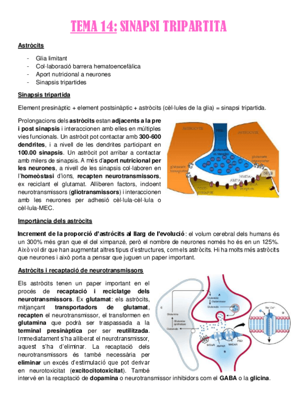 Miniatura del documento Tema-14.pdf