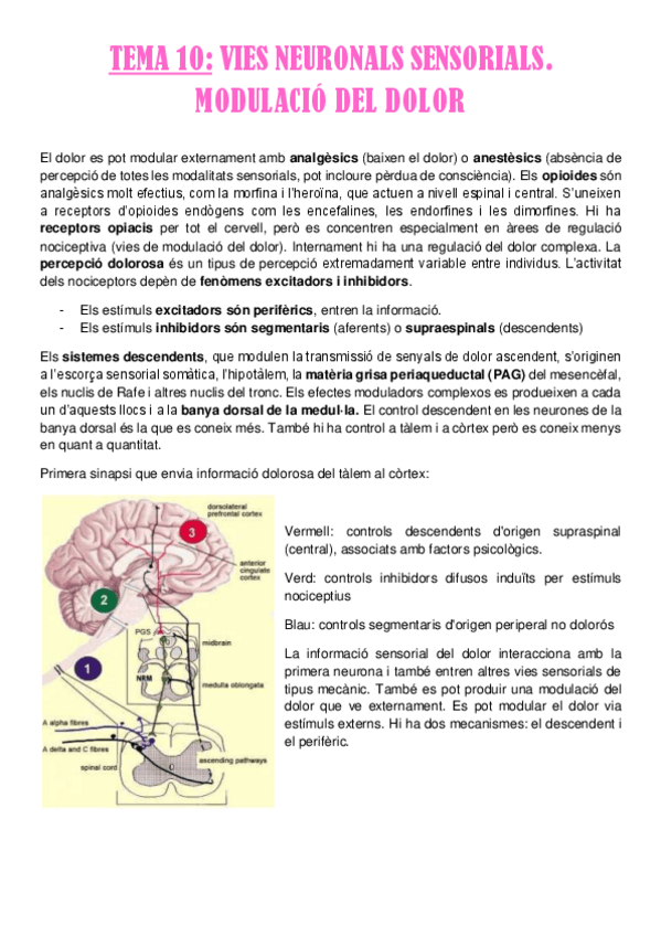 Miniatura del documento Tema-10.pdf
