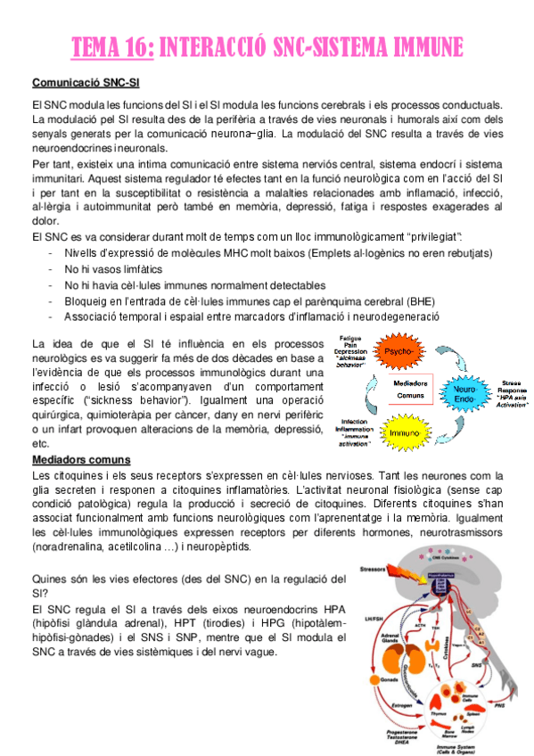 Miniatura del documento TEMA-16.pdf