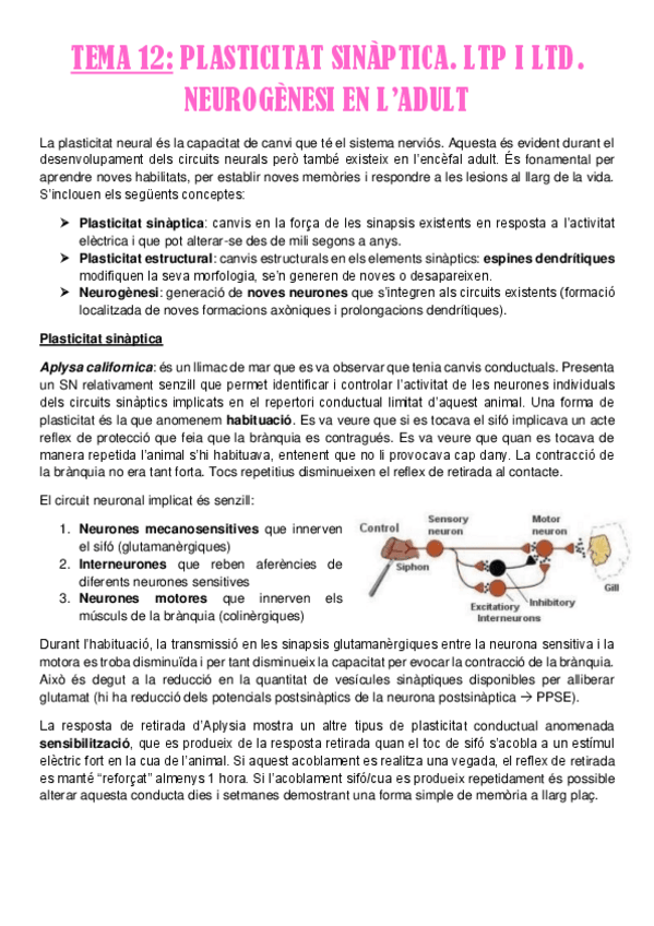 Miniatura del documento Tema-12.pdf