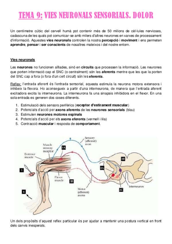 Miniatura del documento TEMA-9.pdf