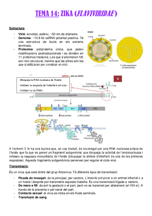 Miniatura del documento TEMA-14.pdf