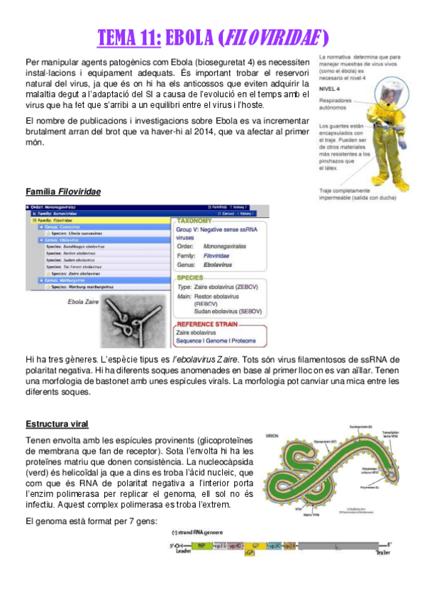Miniatura del documento TEMA-11.pdf