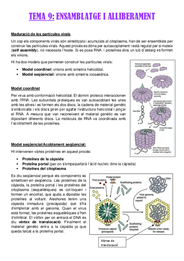 Miniatura del documento TEMA-9.pdf