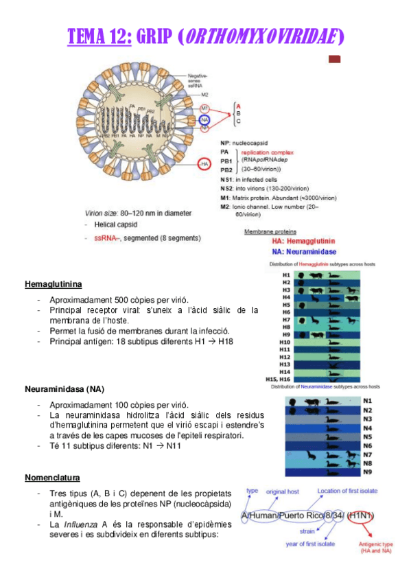 Miniatura del documento TEMA-12.pdf