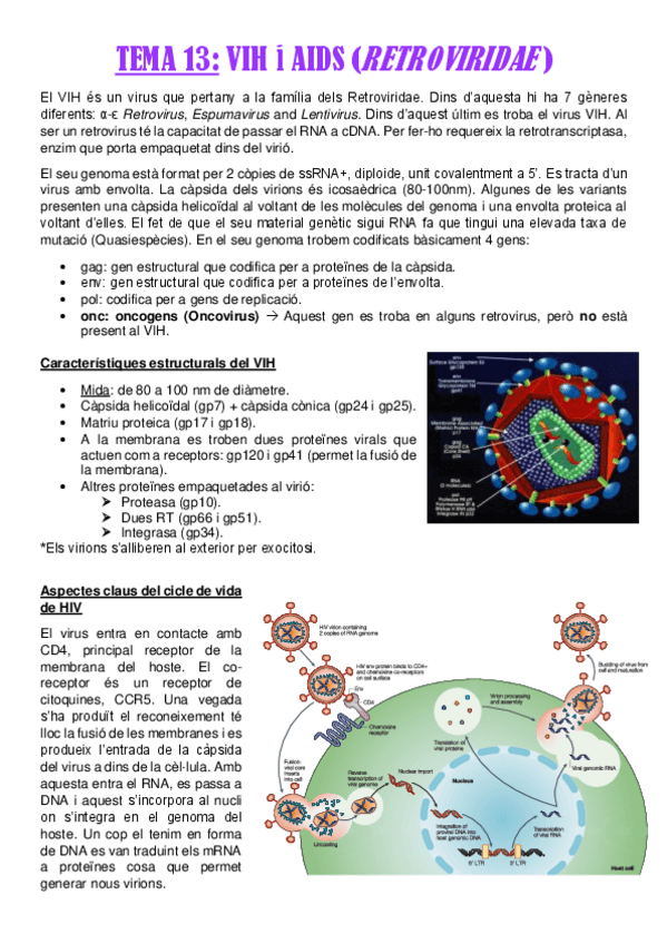 Miniatura del documento TEMA-13.pdf