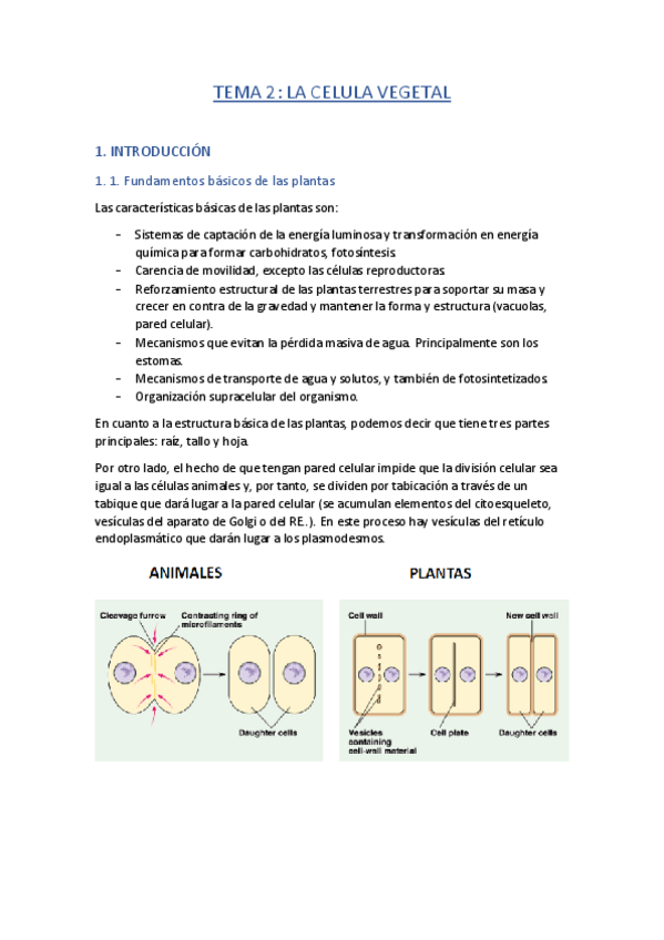 Miniatura del documento TEMA-2.pdf