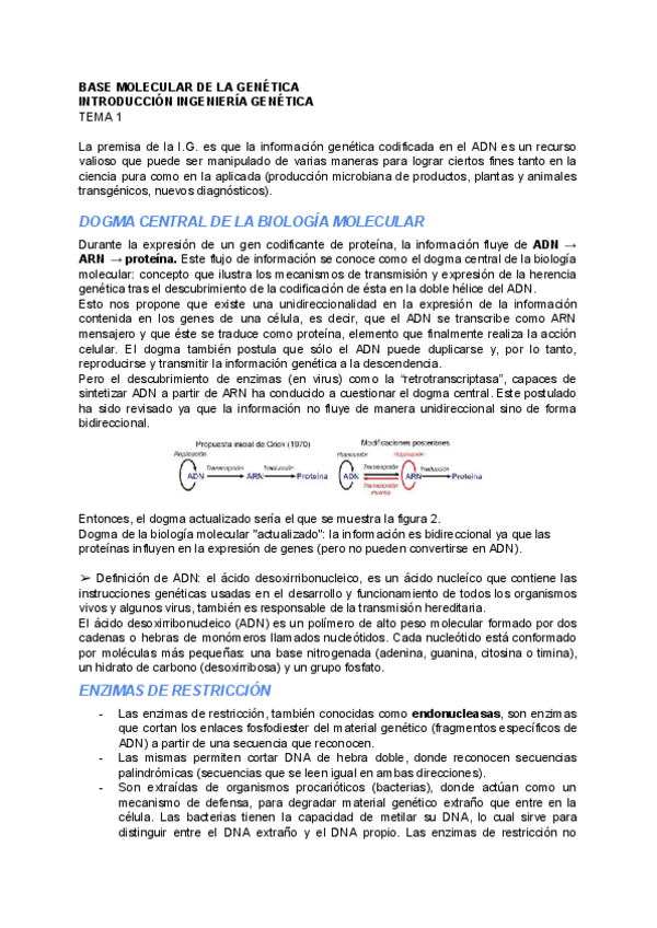 Miniatura del documento TEMA-1.pdf