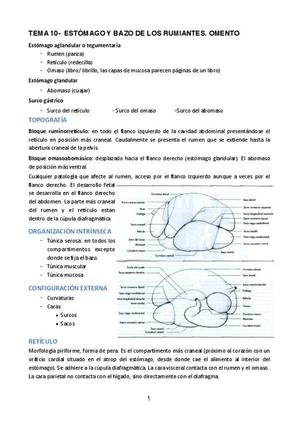 Miniatura del documento TEMA-10.pdf