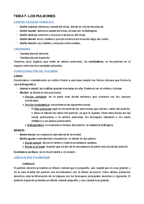 Miniatura del documento TEMA-7.pdf