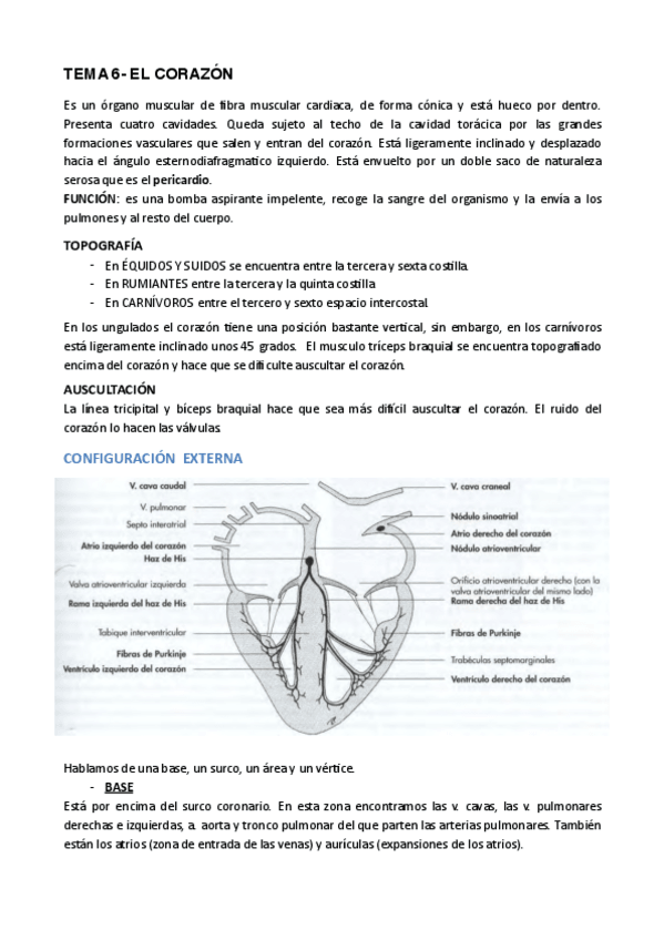 Miniatura del documento TEMA-6-.pdf