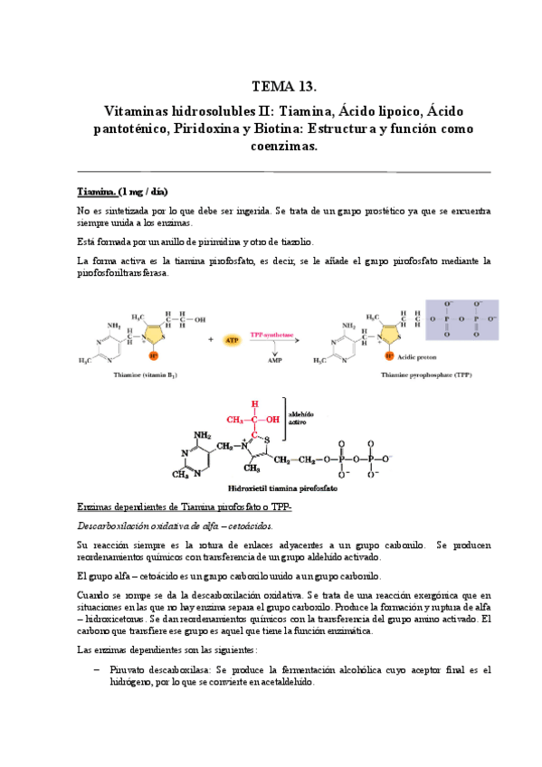 Miniatura del documento Tema 13.pdf