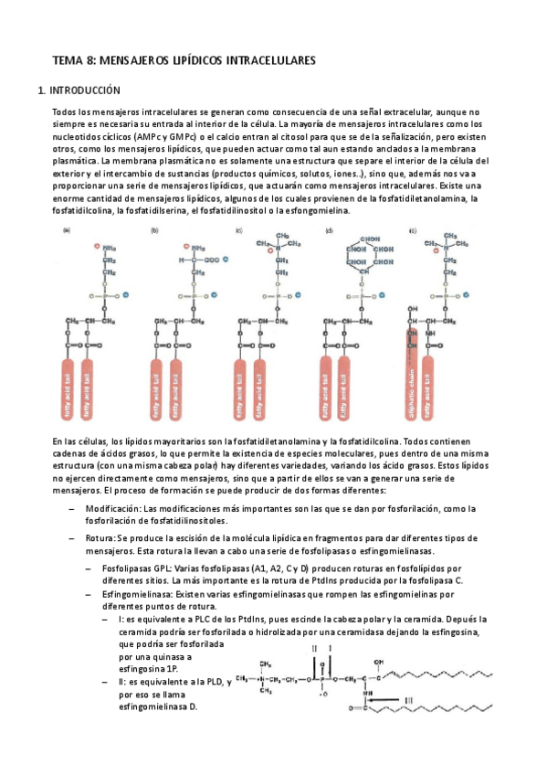 Miniatura del documento Tema 8- Mensajeros lipídicos.pdf