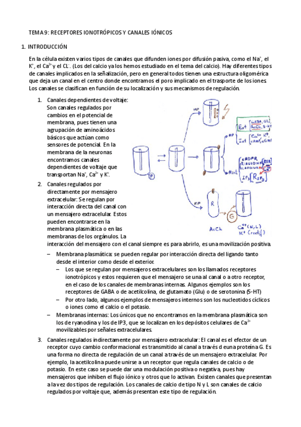 Miniatura del documento Tema 9- Receptores ionotropicos y canales ionicos.pdf
