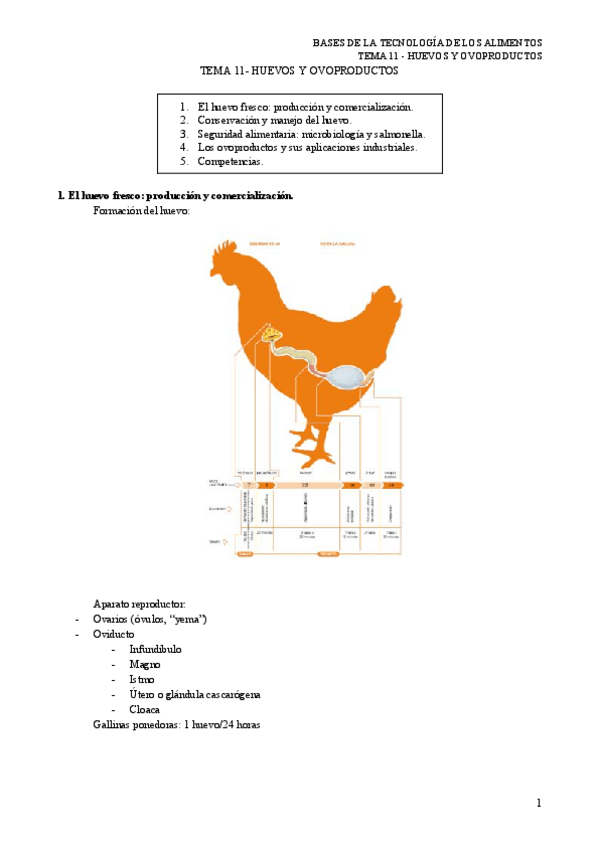 Miniatura del documento TEMA-11-HUEVOS-Y-OVOPRODUCTOS.pdf