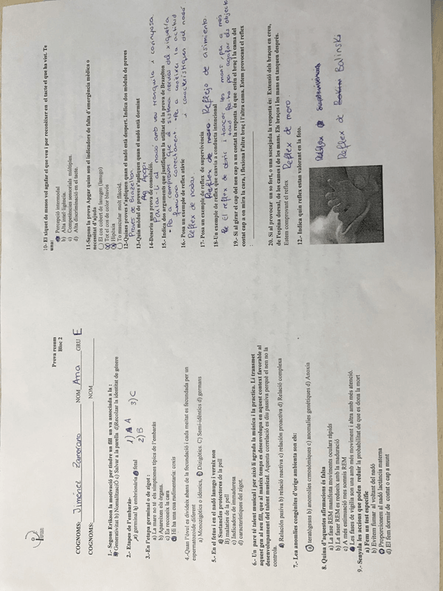 Miniatura del documento WhatsApp-Image-2018-01-16-at-11.jpg