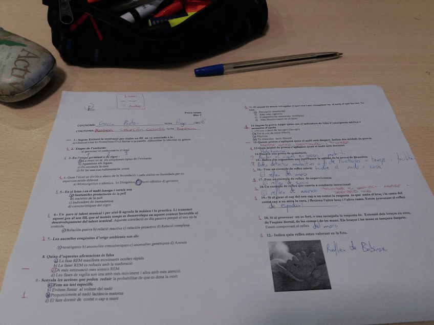 Miniatura del documento WhatsApp-Image-2018-01-16-at-11.jpg