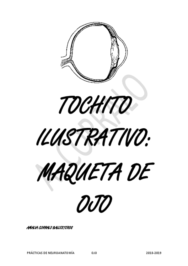 Miniatura del documento TOCHITO-OJO-A.pdf