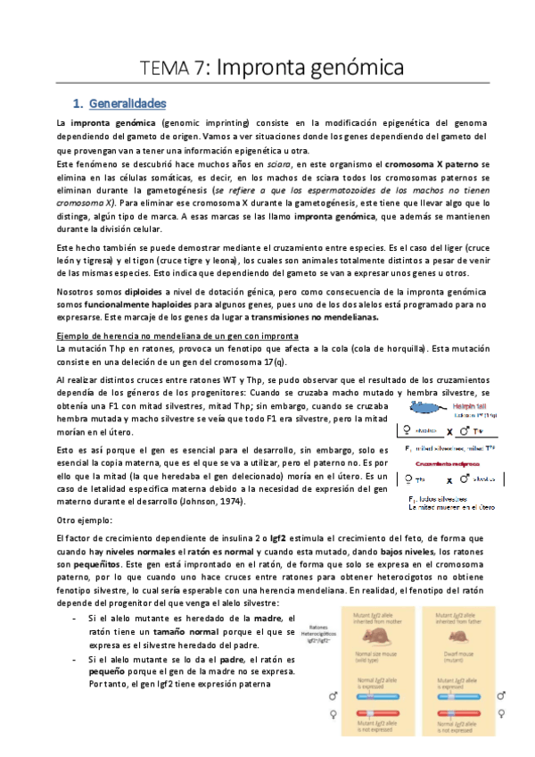 Miniatura del documento Tema-6.pdf