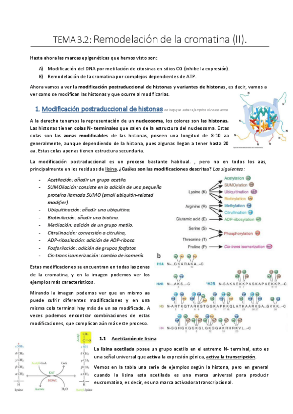 Miniatura del documento Tema-3.pdf
