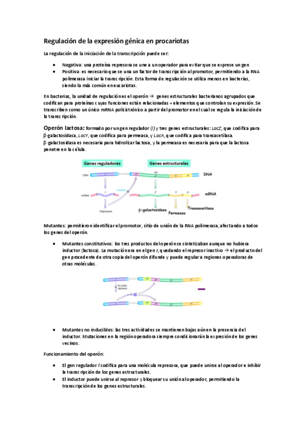 Miniatura del documento Regulacion-de-la-expresion-genica-en-procariotas.pdf