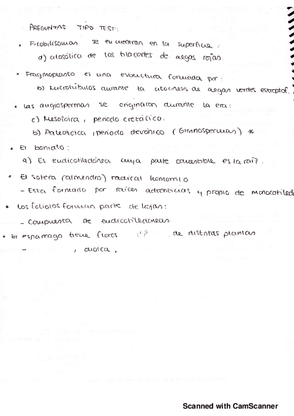 Miniatura del documento TESTS.pdf
