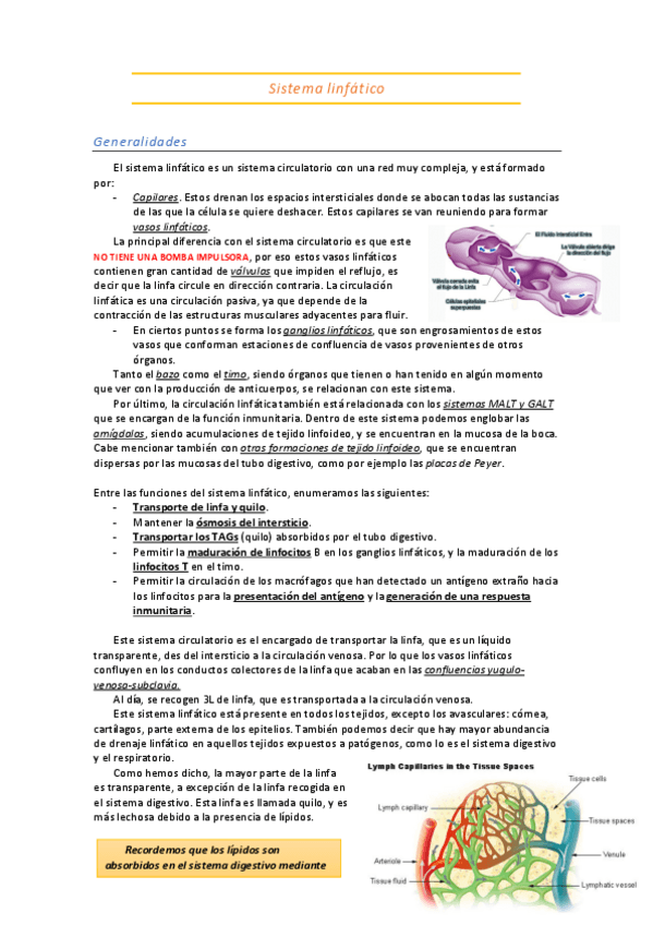 Miniatura del documento 11.Sistema Linfático