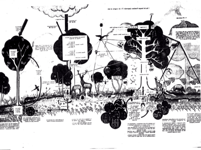 Miniatura del documento Tema1.pdf