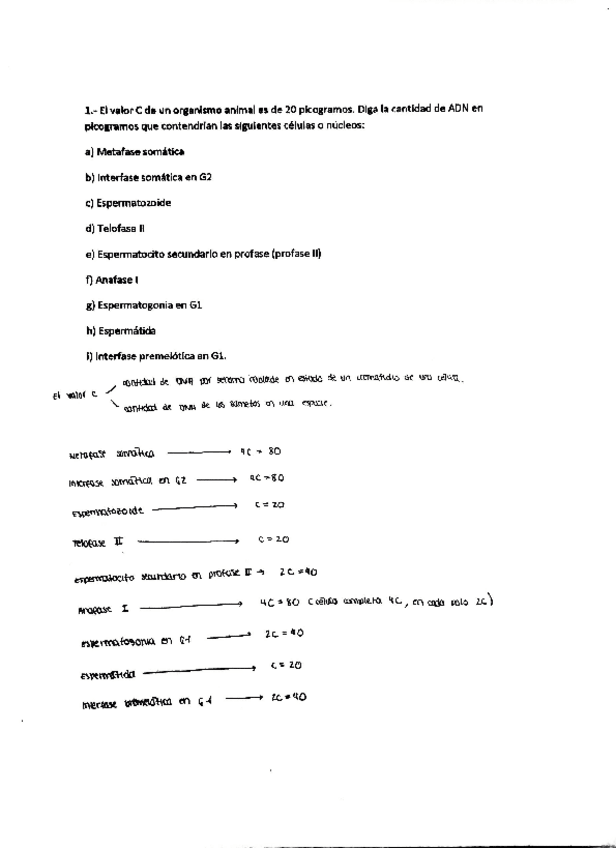 Miniatura del documento Problemas-de-Ligamiento.pdf