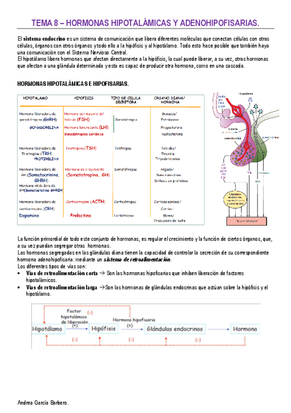 Miniatura del documento TEMA-8-HORMONAS-ADENOHIPOFISARIAS-E-HIPOTALAMICAS.pdf