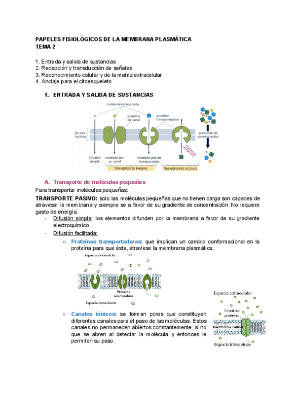Miniatura del documento BIOLOGIA-TEMA-2.pdf