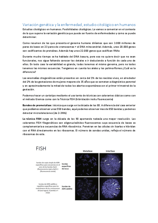 Miniatura del documento TEMA-3.pdf