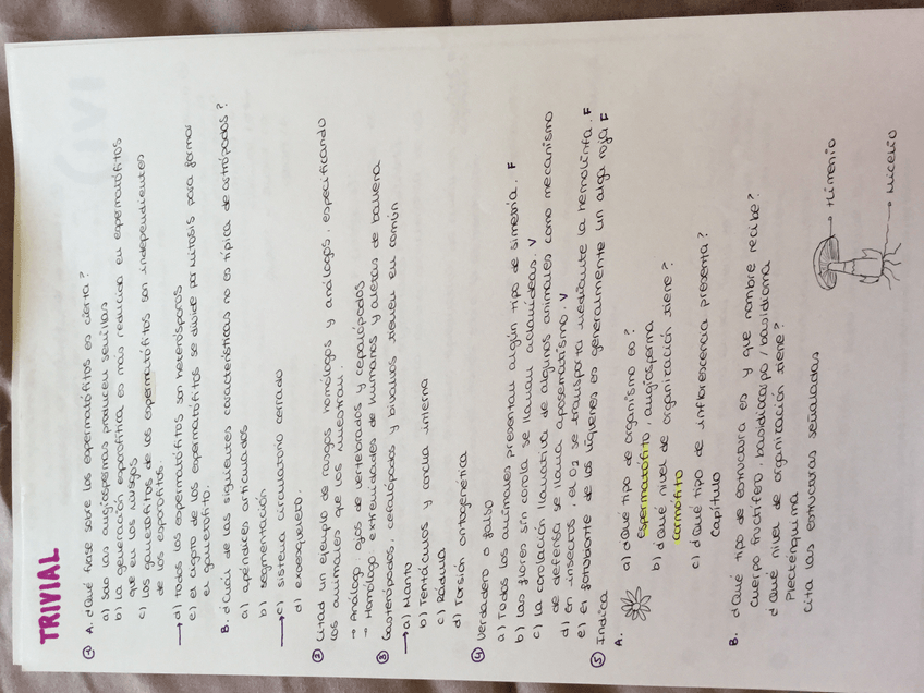 Miniatura del documento image.jpg