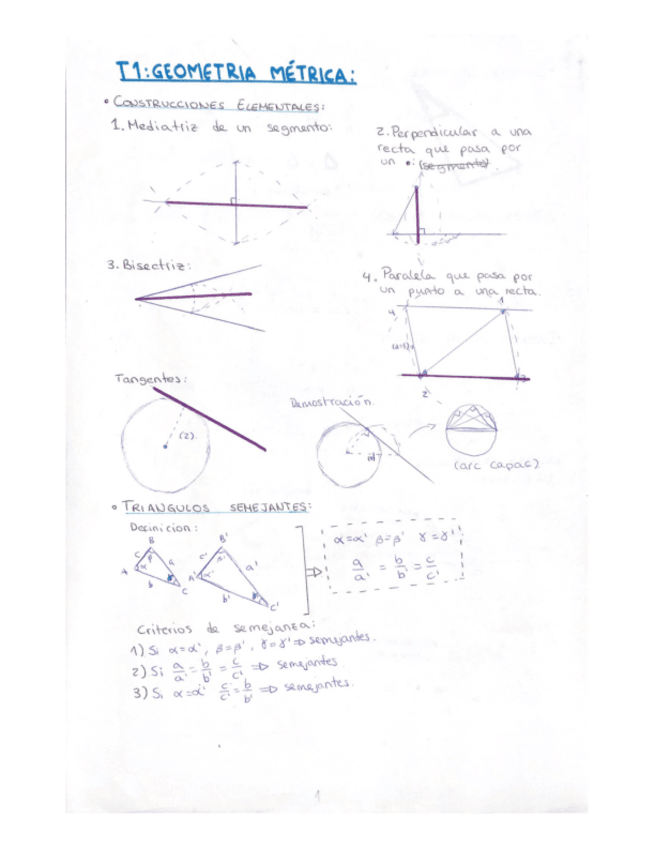 Miniatura del documento T1-GEOMETRIA-METRICA.pdf
