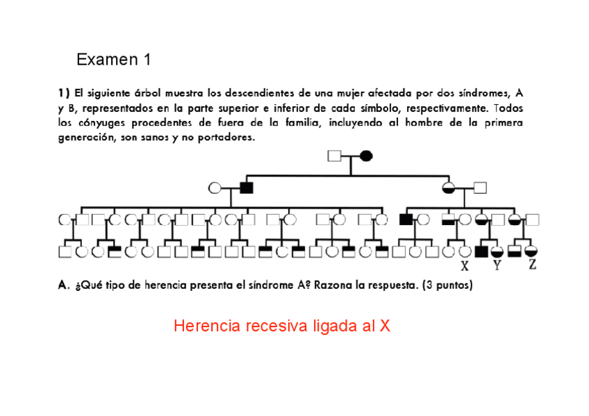 Miniatura del documento EXAMEN PARCIAL 1-2 + SOLUCIONES (1).pdf
